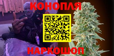 тгк Можга
