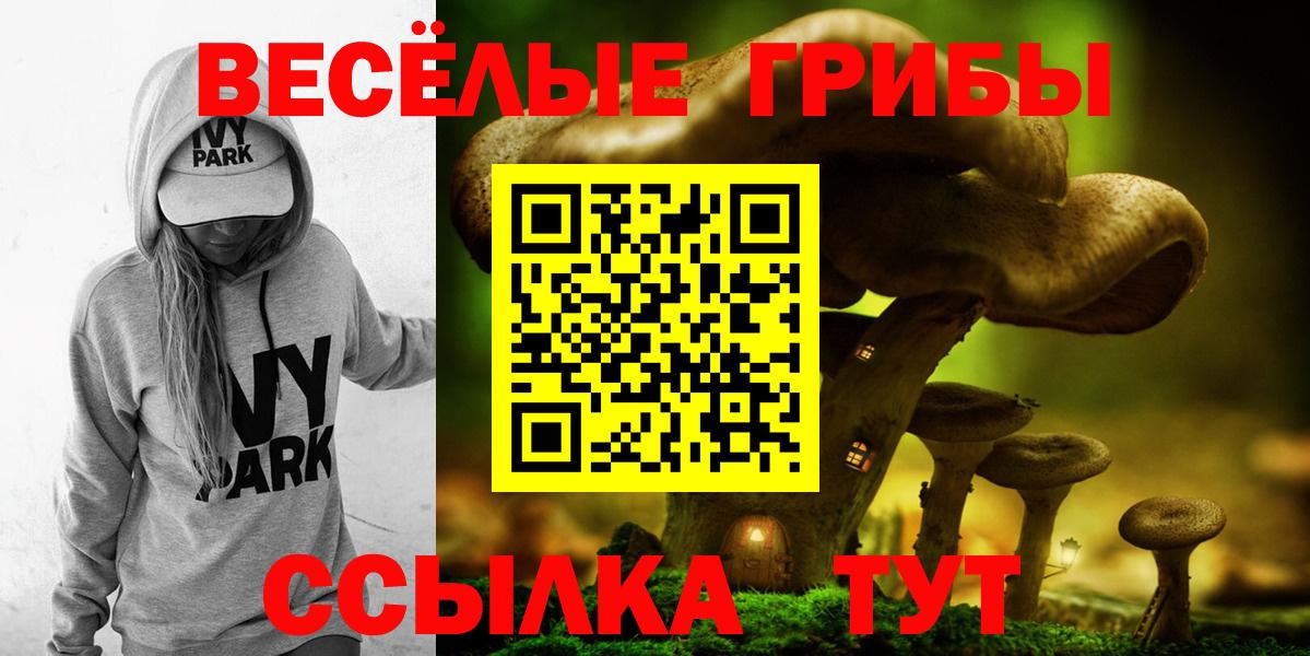 Псилоцибиновые грибы ЛСД  Галлюциногенные грибы GOLDEN TEACHER  Вход с VPN  Шелехов 